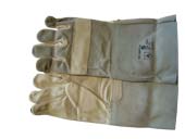 26-Handschuh.jpg 26-Handschuh.jpg